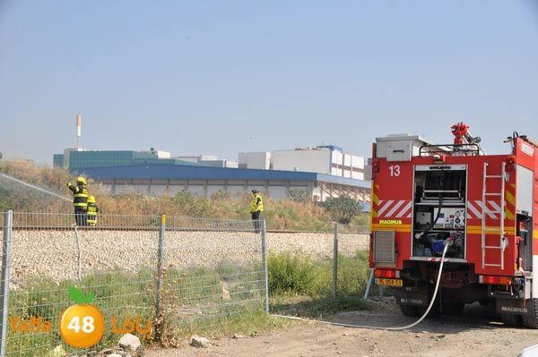 firecartoonsecnd506 (42).JPG